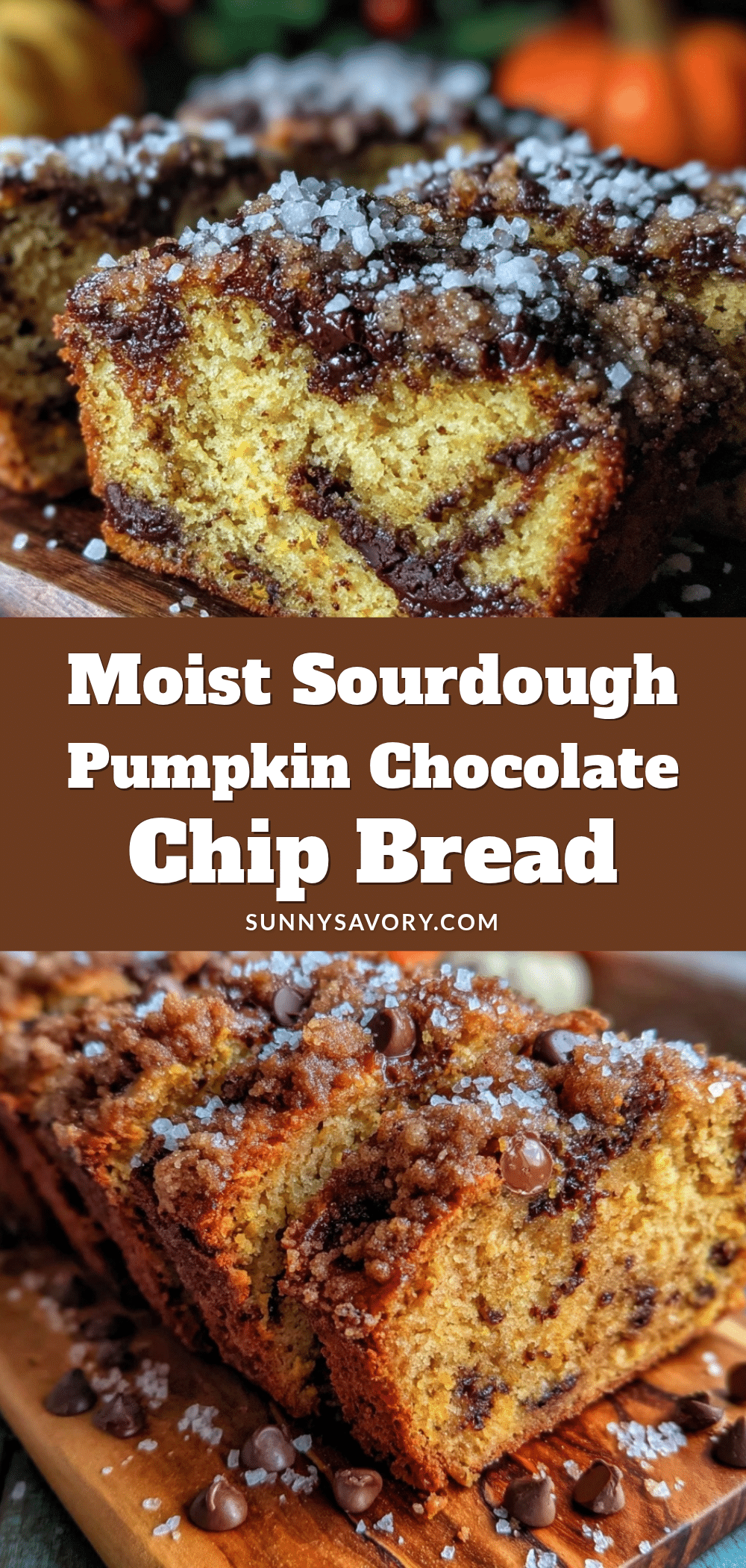 sourdough pumpkin chocolate chip bread recipe
