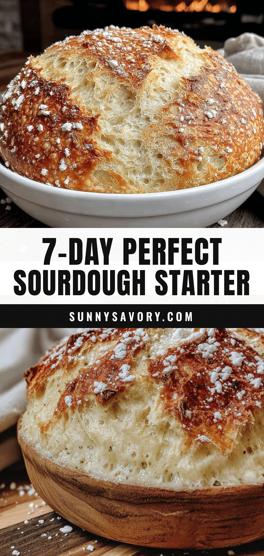 Easy 7-Day Beginner Sourdough Starter from Scratch recipe