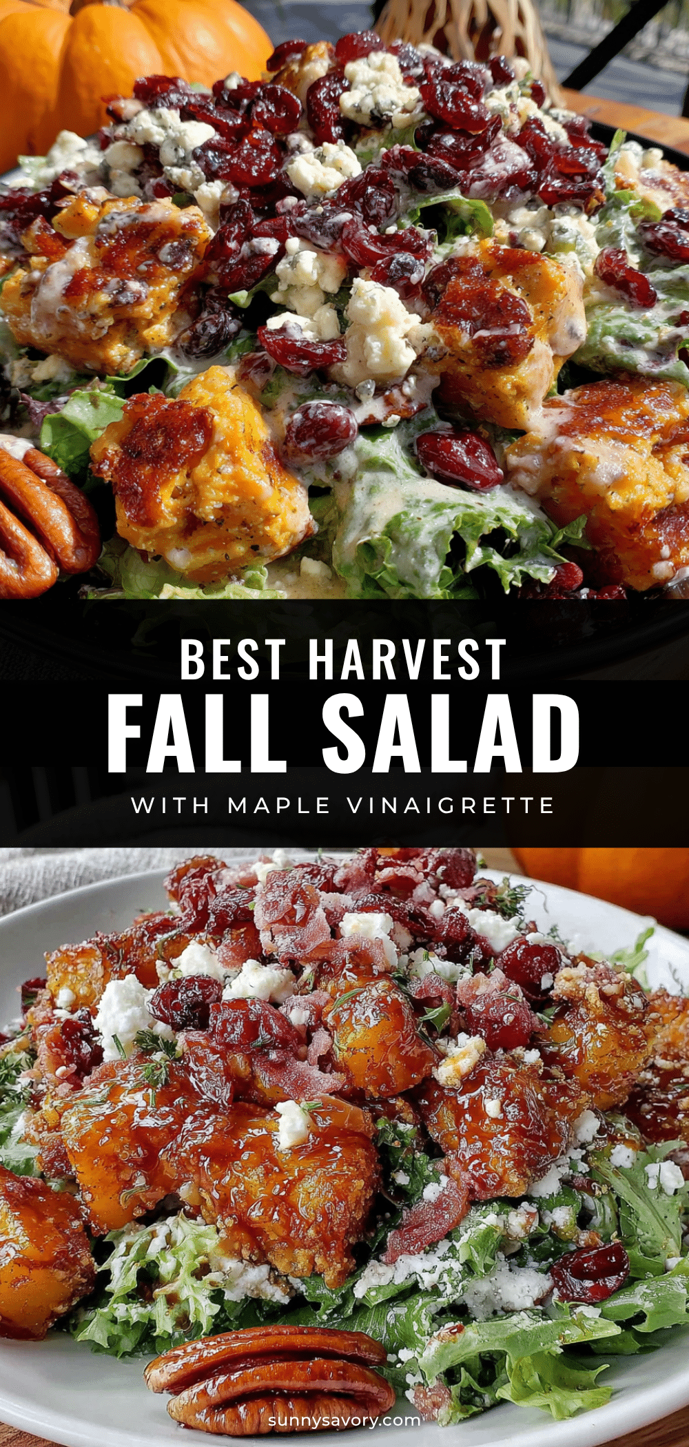 harvest fall salad recipe